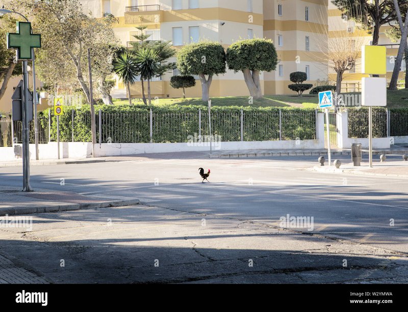 Jeu de casino chicken road - Découvrez l'aventure de Chicken Road : Jeu de Casino en Ligne Français